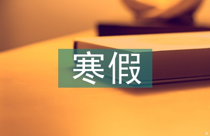 寒假社會(huì)實(shí)踐總結(jié)