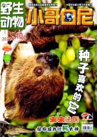 小哥白尼·野生動物畫報雜志